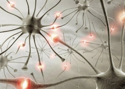 ������ ���������� �� �������� ���������: ������������ ���� �� ������