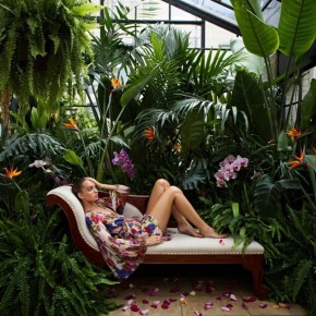 �������� ���������, ������� �� �������� � ��������