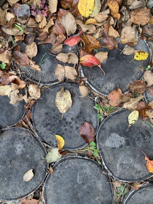 �����: ����� ��� ����������� � ��������� ���������