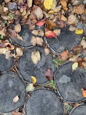 �����: ����� ��� ����������� � ��������� ���������