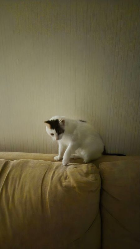 Когда праздники напоминают будни