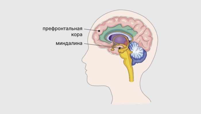 Понимание детских кризисов: советы для родителей