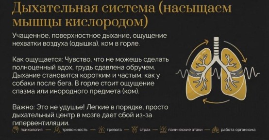 ��������������� � ���������� �����: ��� ����� �����