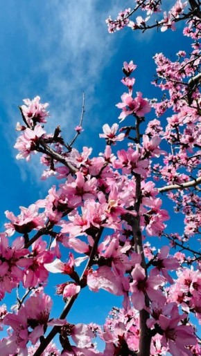 Как выбрать профессию, сохраняя свои таланты эмпатии и гармонии