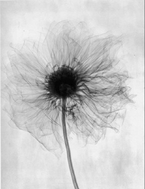 Как взрослость преображает любовь к жизни