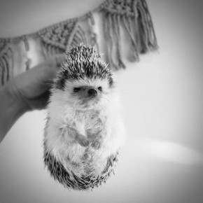 Как научиться доверять и находить безопасные отношения в жестоком мире