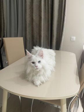 Системный подход: Найди свое место в жизни