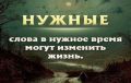 Как научиться говорить «нет» без чувства вины