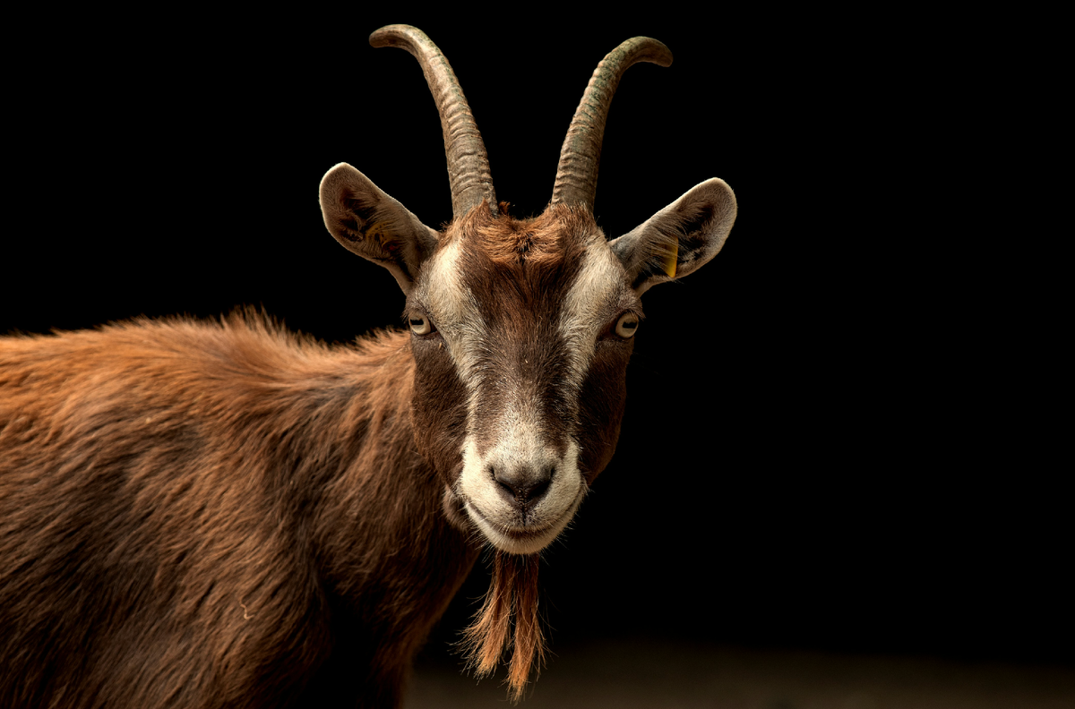 Почему вы выбираете одних и тех же мужчин: разоблачаем мифы о любви