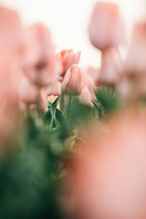 Долгий путь к переменам: что влияет на продолжительность психотерапии