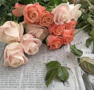 ������������ ������� �� ���