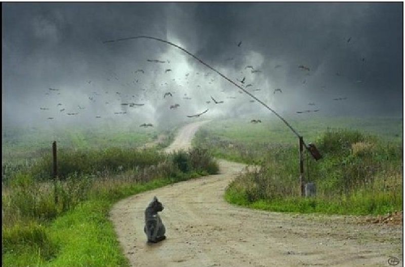 Смелость быть собой