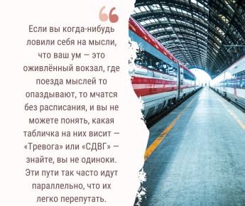 ������� ��� ����: ��� �������� ������� ������������ ���?