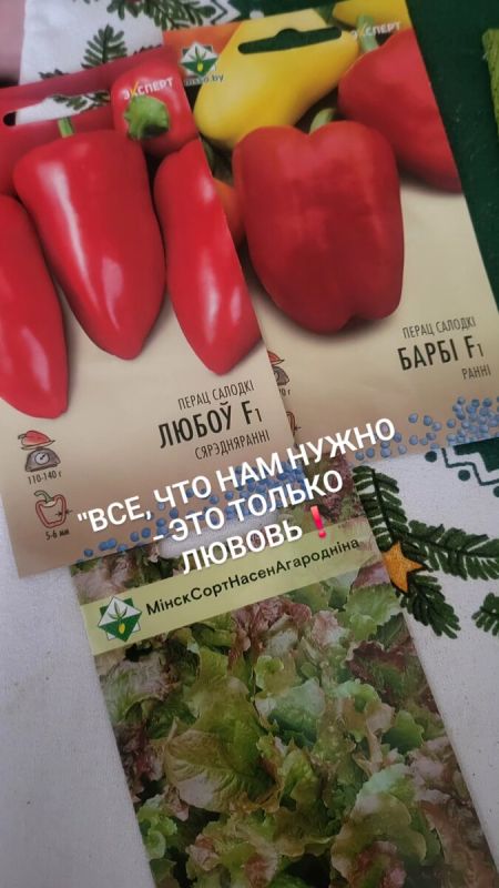 Любовь к жизни: празднуем каждый момент