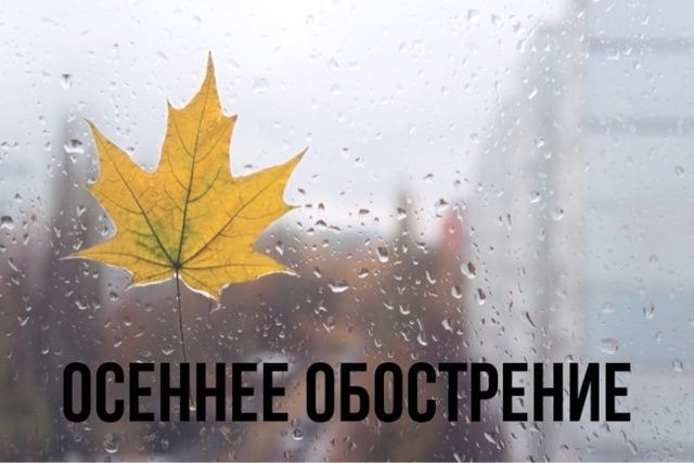 Осень: Когда грусть становится сигналом к переменам