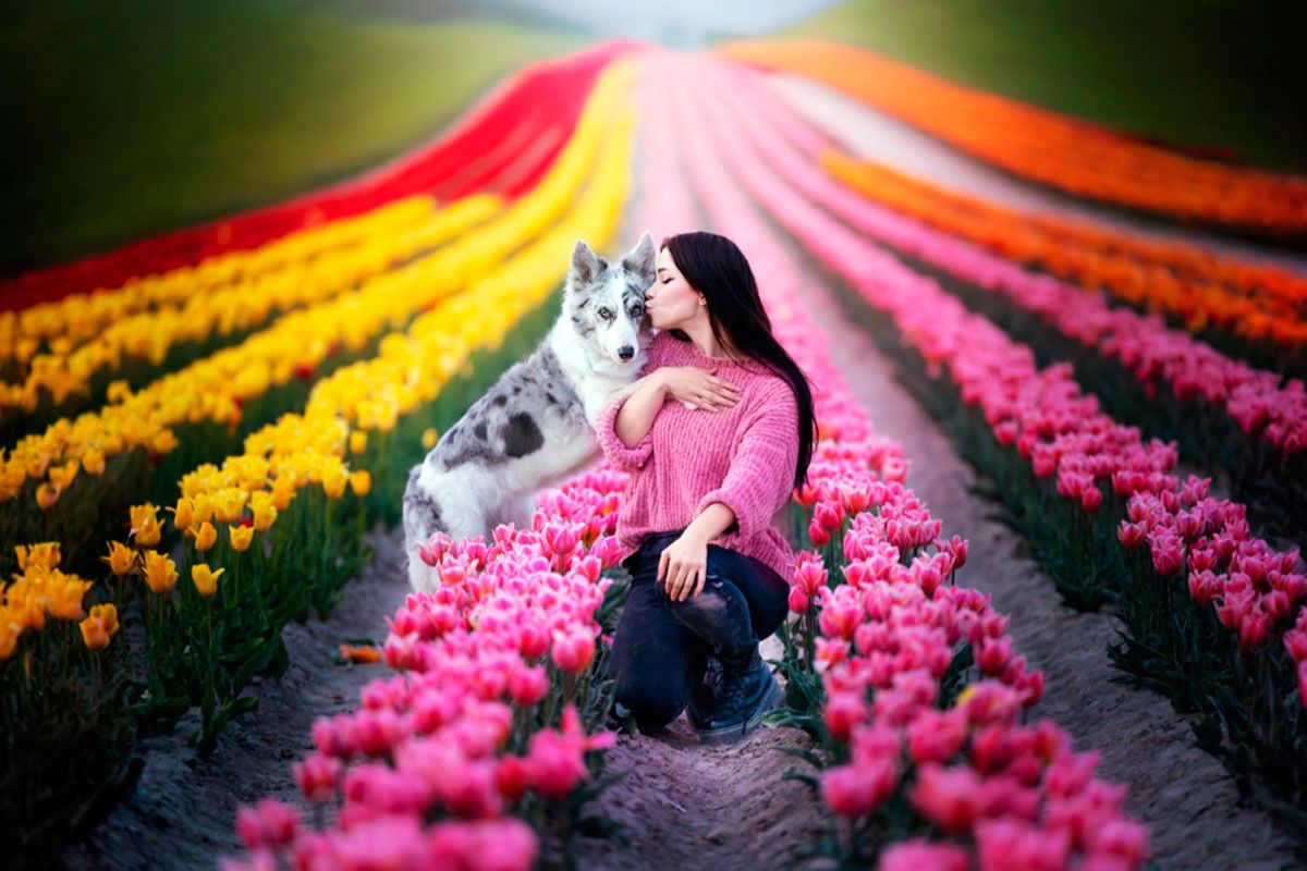 ������ �� ��� ������� ��������: ����� ����������� �� �������