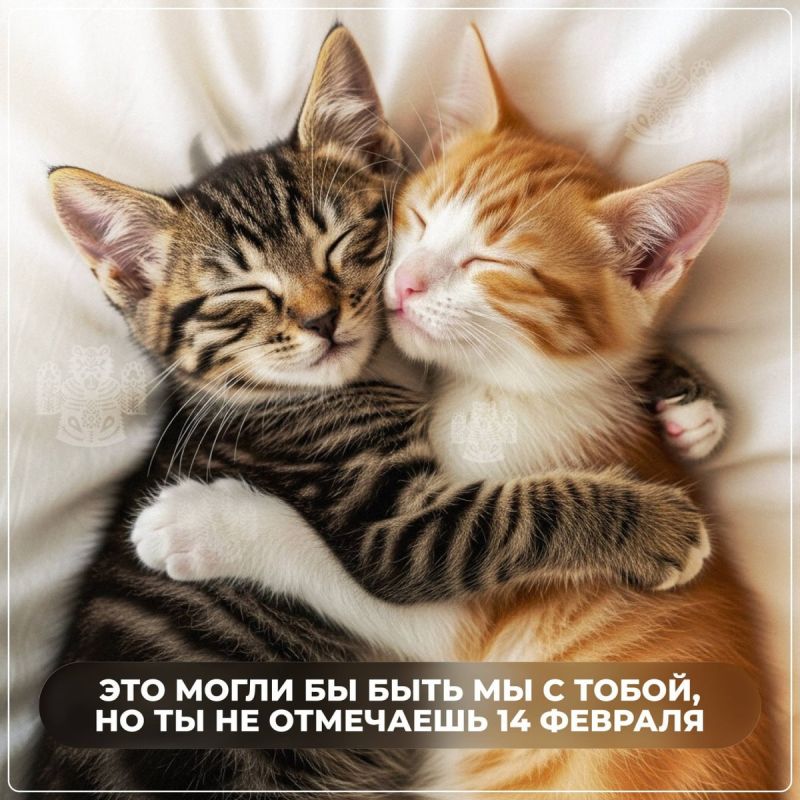 День святого Валентина: Цифры и Тенденции