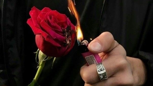 Как избежать встретить нарцисса и сохранить себя в отношениях