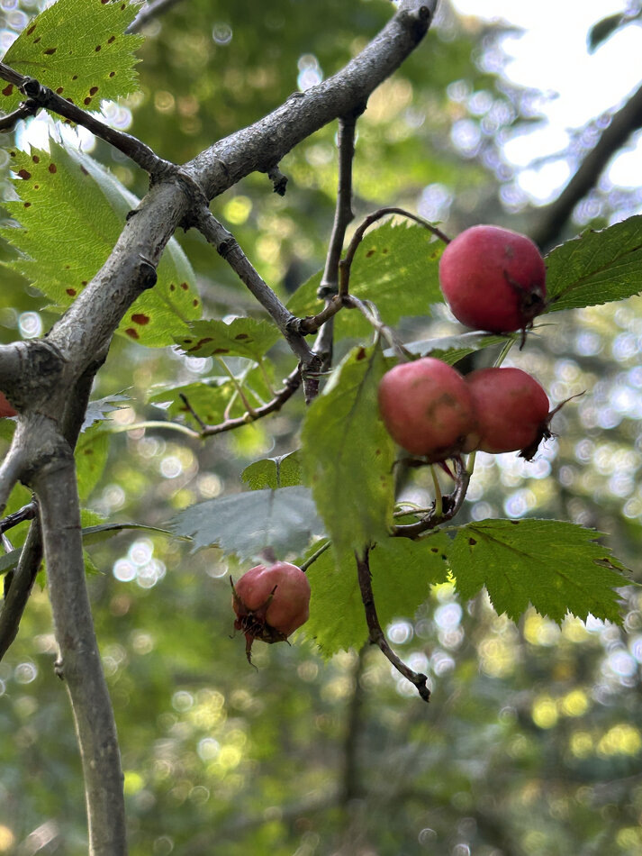 Одиночество на рабочем месте: когда профессия становится изолированной