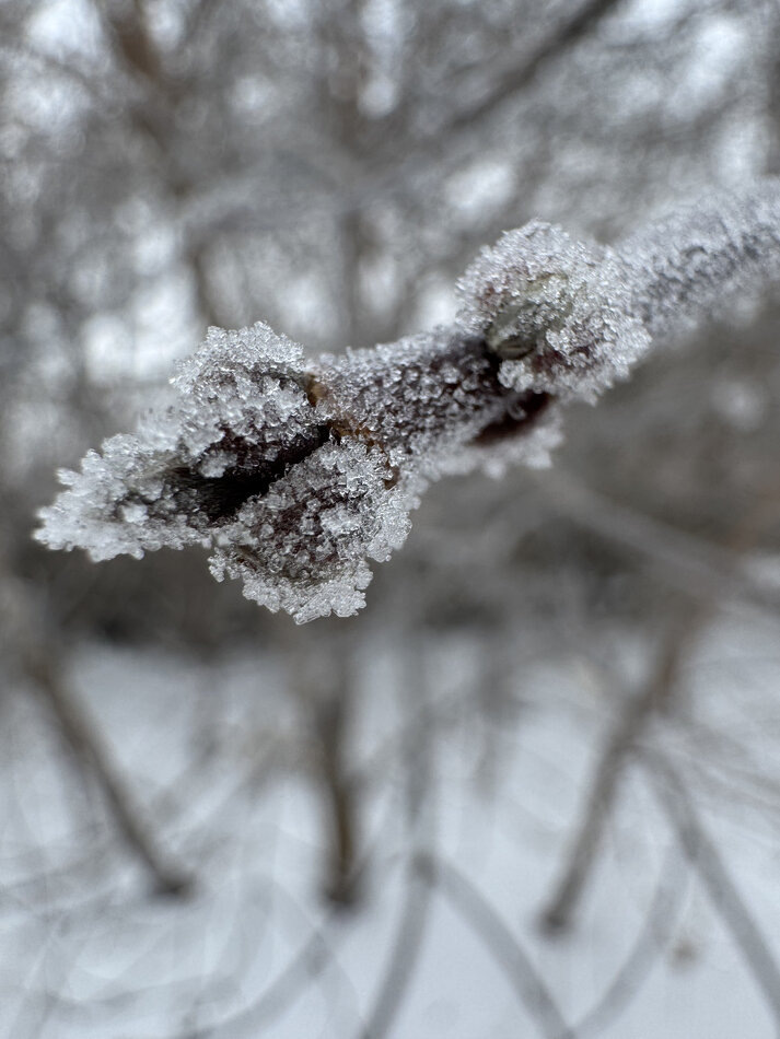 Остановись на мгновение: как осознанность меняет каждый день