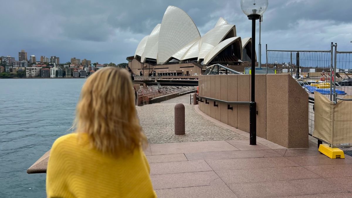 ������ ����������� ����� ���� ����������, ���� ����� �������