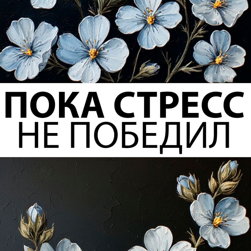 Как справляться с хроническим стрессом и наладить жизнь