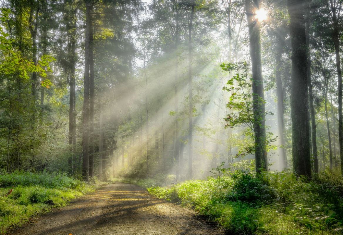 ��� ������ ���� ����� � ����������� ����?