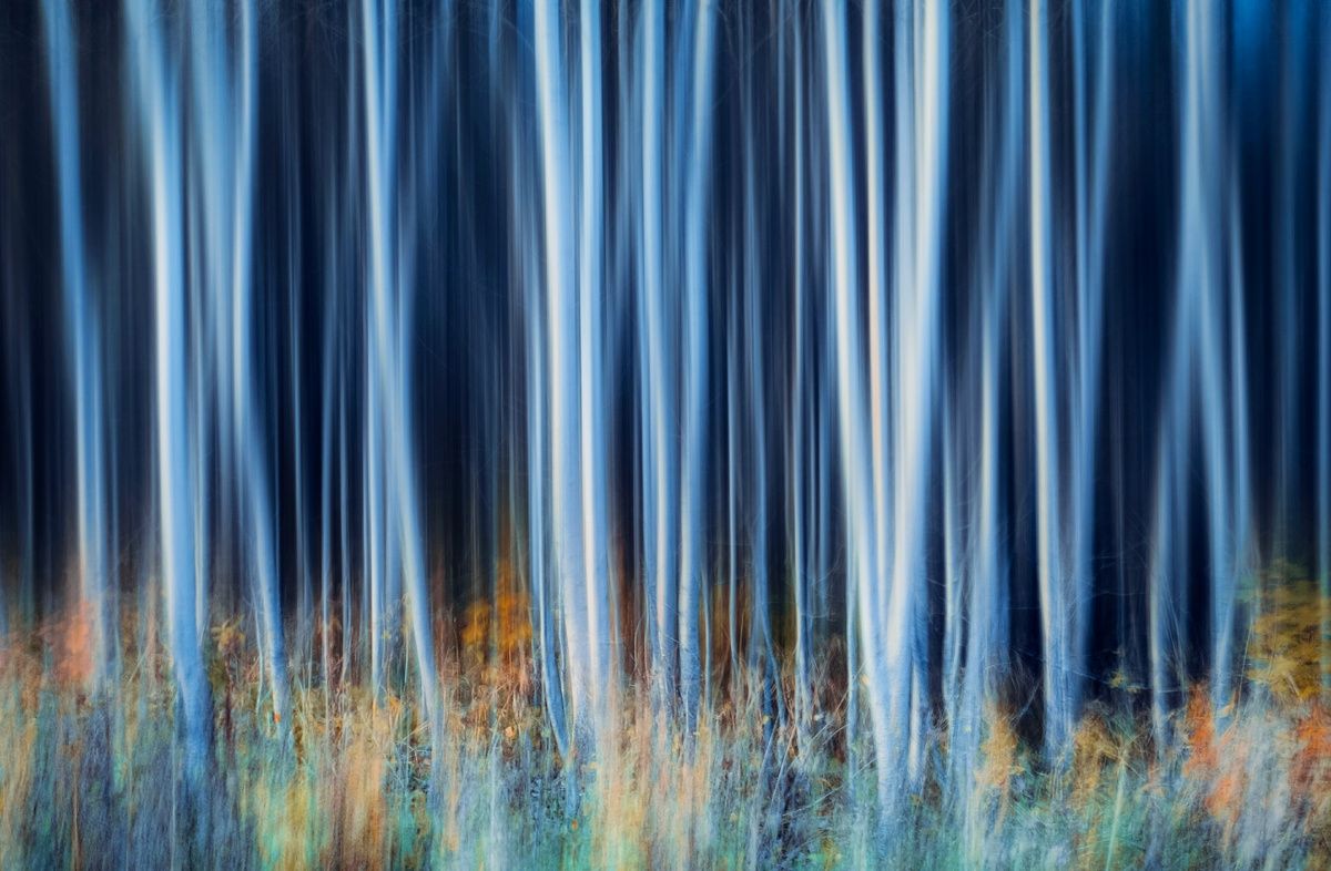 ��� ���� �������� ���������� ���� ������ �������� � �����