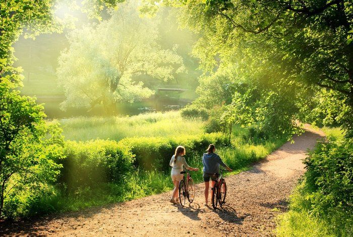 Природа против стресса: как прогулки на свежем воздухе меняют наш мозг