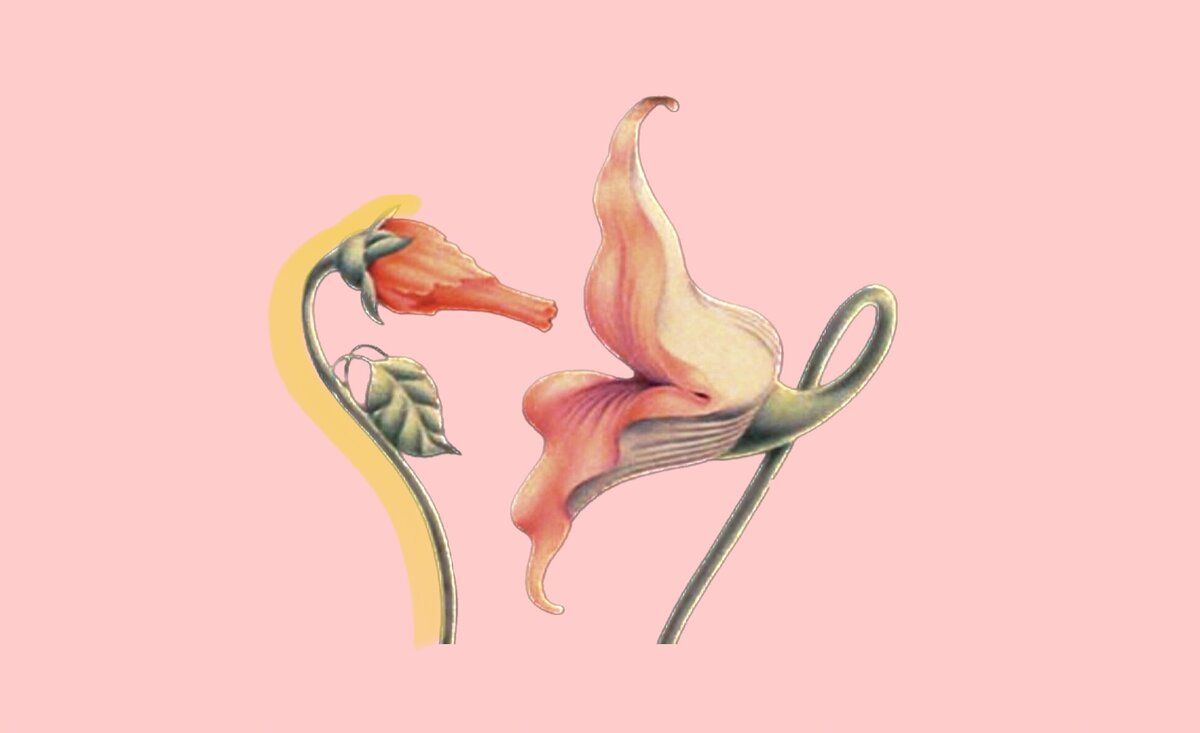 ������ ��������� ������� ����� � ����������?