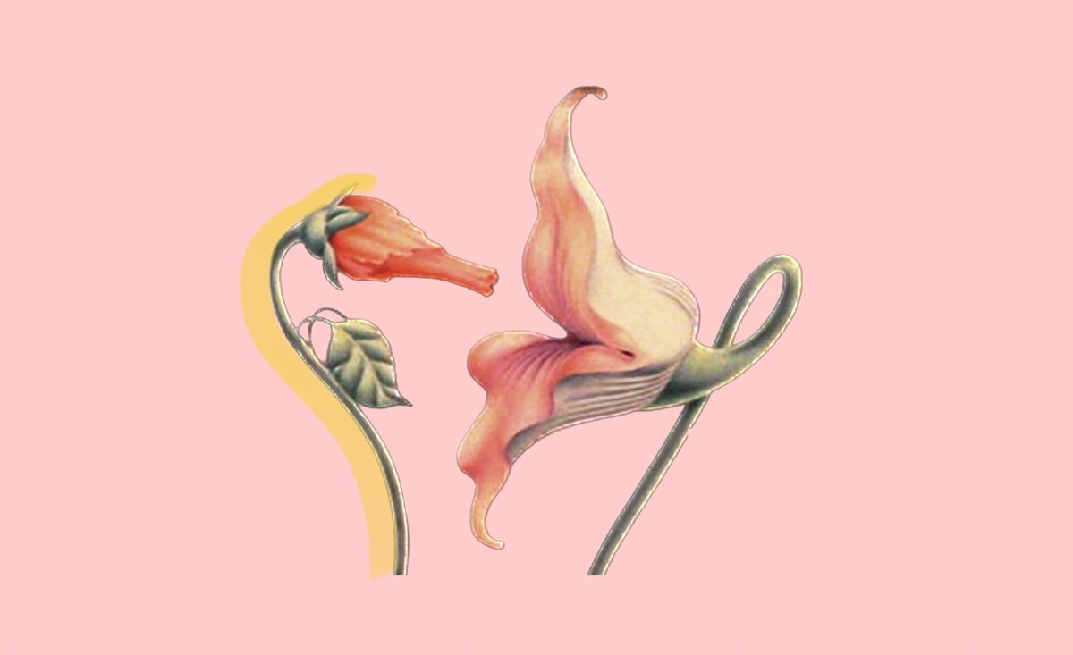 Какова идеальная частота секса в отношениях?