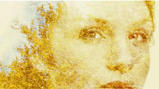 ����� ���� ������: ��� ��������� ������ ����� � ����� �������� ���������