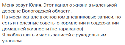 Снегопад, покупки и уютный Новый год