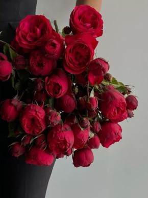 Цветы на день святого Валентина: как выбрать, чтобы порадовать любимого