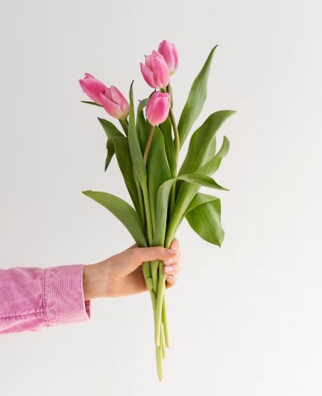 � ������������� ������� ����: ����������� � ������� �����