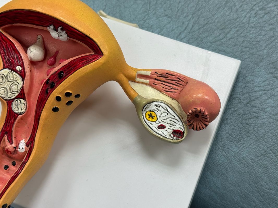 ������ ������������ ���� �� ����� ������������ ��� �����