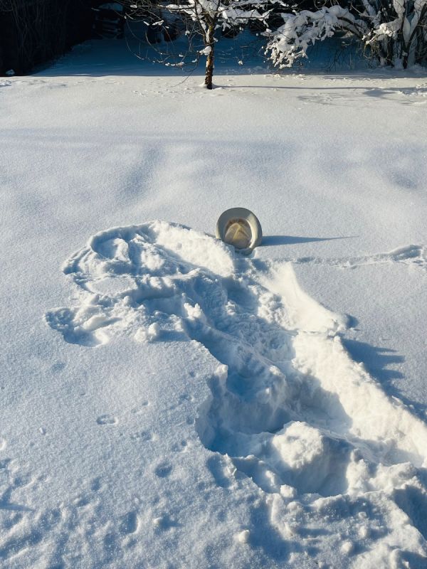 ��� ������� ���������� �������� � ��������