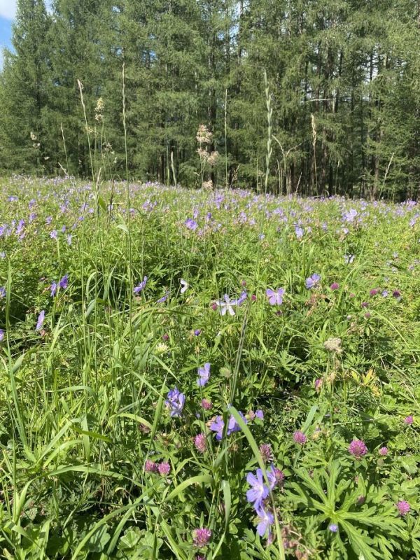 ��� �������� ��������� ��� ���� � ������� � ��������