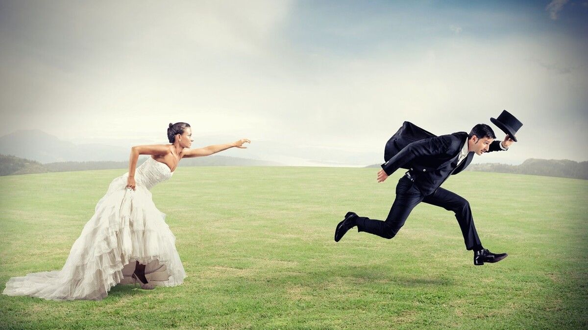 ����� ������� ������������: ������� ��������� �� ������������ ��������