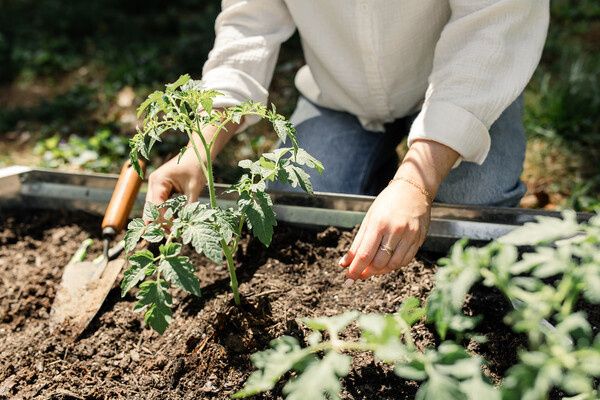 Садоводство как средство борьбы с депрессией у пожилых людей