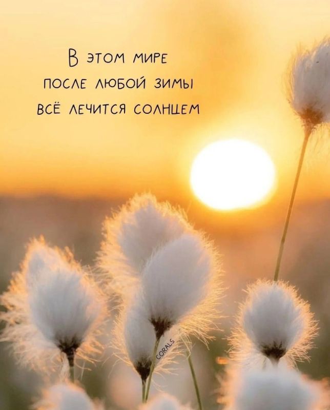 ��� ����� �������� ���� � ��������� ��������