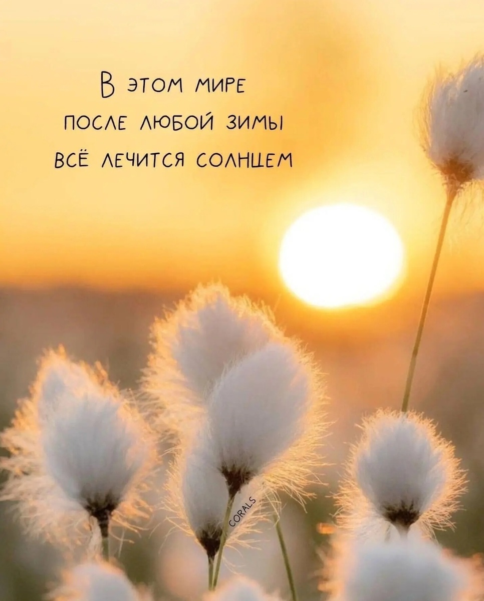 Как весна окрыляет души и наполняет радостью