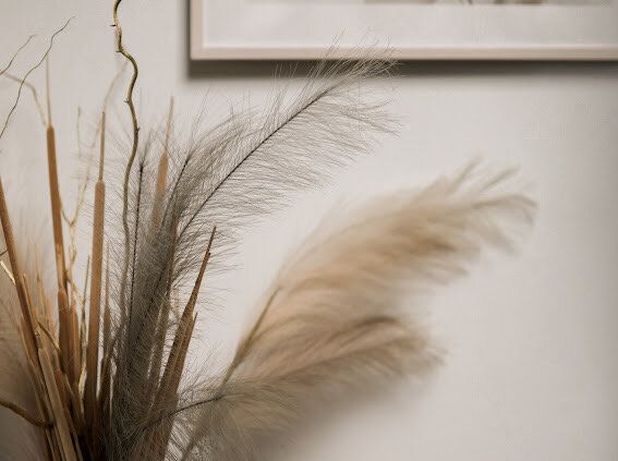 ������ ������� ��������� ����������� � ���������