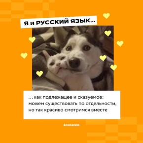 ������� ��������� � �����: ��� ������� ������ ��������������