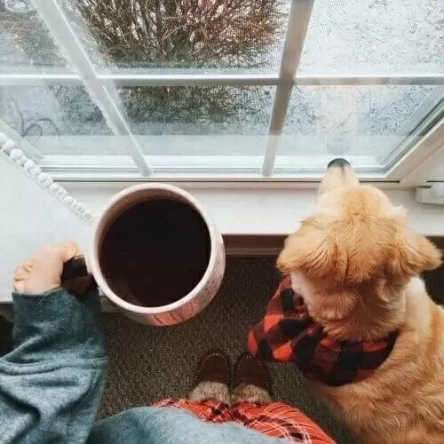 Научиться жить в настоящем: простые радости каждый день