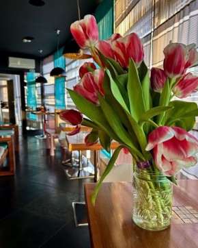 ��������� ���������� �� ��� ���� ���������