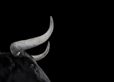 Как подавленная агрессия превращается в вину и болезненные состояния