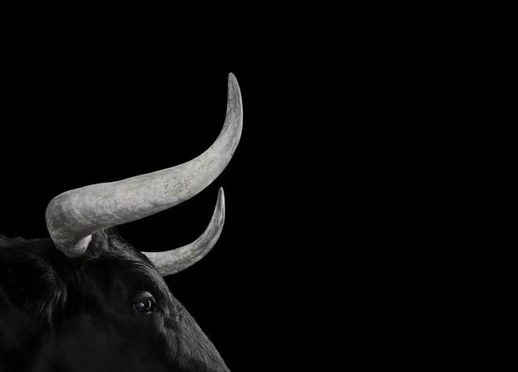 Как подавленная агрессия превращается в вину и болезненные состояния