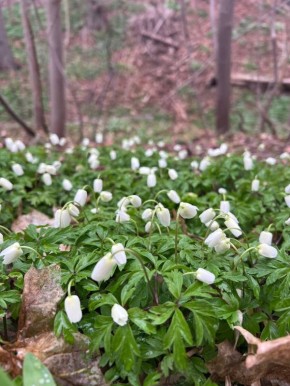 ����� ������ � ��� ������: ��� �������� ���� � ��������������