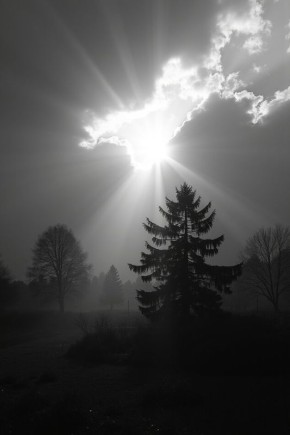 ������� �� ������: ��� �������� ������ ������ �� �������